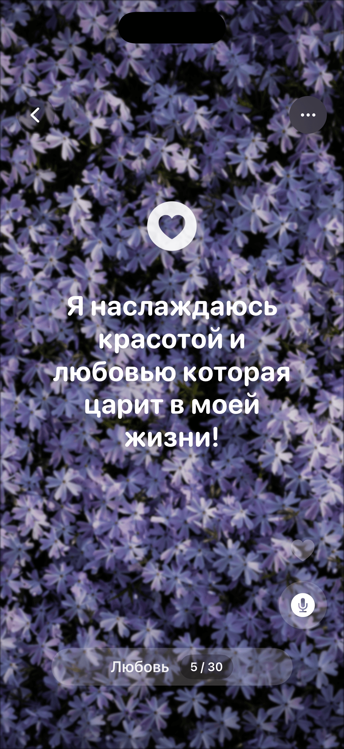 Скриншот Affirmation One 4